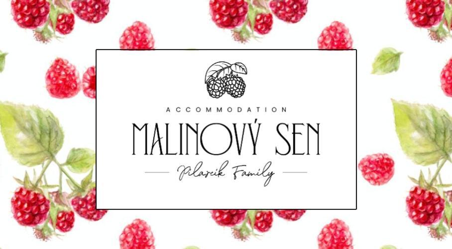 Malinovy Sen Panzió Habovka Kültér fotó